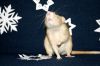 DSC_0166~7.jpg