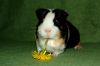 DSC_0167.jpg