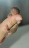 DSC_0167~14.jpg