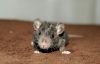 DSC_0167~15.jpg