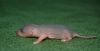 DSC_0167~4.jpg