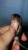 DSC_0167~6.jpg