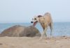 DSC_0169~10.jpg