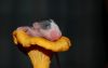 DSC_0171~5.jpg