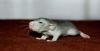 DSC_0172~4.jpg