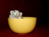 DSC_0173~2.jpg