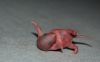 DSC_0173~5.jpg