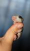 DSC_0173~6.jpg