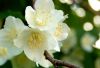 DSC_0174~0.jpg