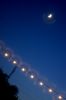 DSC_0174~10.jpg