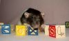 DSC_0174~3.jpg