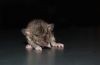 DSC_0174~5.jpg