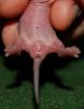 DSC_0175~3.jpg