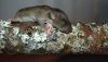 DSC_0175~4.jpg