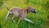 DSC_0175~7.jpg