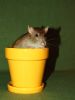 DSC_0176~10.jpg