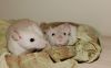 DSC_0178~11.jpg
