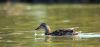 DSC_0178~2.jpg