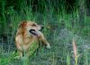 DSC_0178~4.jpg