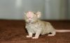 DSC_0178~8.jpg