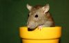 DSC_0179~10.jpg