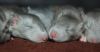 DSC_0179~11.jpg