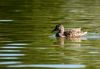DSC_0179~4.jpg