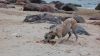 DSC_0180~6.jpg