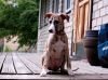 DSC_0181~6.jpg
