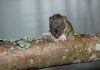 DSC_0182~4.jpg