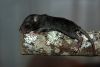 DSC_0182~5.jpg