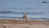 DSC_0184~11.jpg