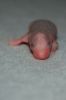 DSC_0184~2.jpg