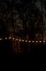 DSC_0186~15.jpg
