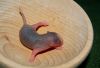 DSC_0186~5.jpg