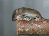DSC_0186~7.jpg