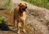 Filename=DSC_0187~5.jpg
Filesize=283KiB
Dimensions=1200x837
Date added=Jul 29, 2012 DSC_0187~5.jpg