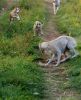 DSC_0188~18.jpg