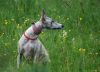 DSC_0190~4.jpg