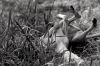 DSC_0191~14.jpg