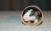 DSC_0191~7.jpg