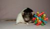 DSC_0192~4.jpg