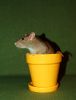 DSC_0195~3.jpg