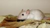 DSC_0196~13.jpg