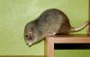 DSC_0200~6.jpg