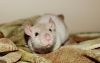DSC_0203~10.jpg