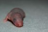 DSC_0204~3.jpg