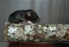 DSC_0205~4.jpg