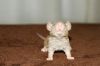 DSC_0205~7.jpg