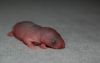 DSC_0206~4.jpg